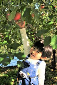 Child picking an apple.